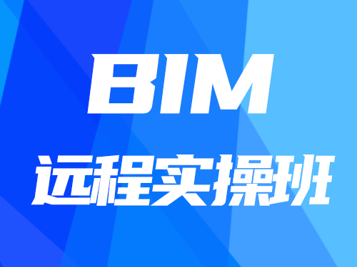 BIM遠(yuǎn)程實(shí)操班